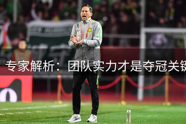 专家解析：团队实力才是夺冠关键 巨星个人表现非决定因素