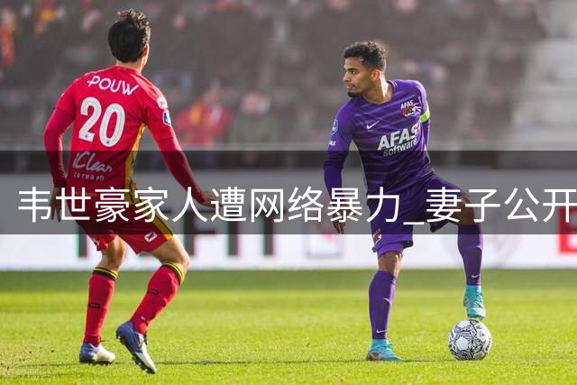 韦世豪家人遭网络暴力 妻子公开表示已报警